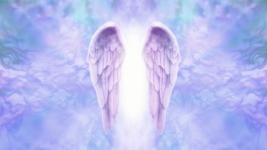 angel oasis wings
