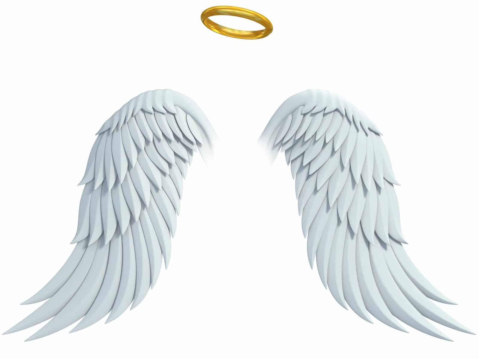 bigstock Angel Design Elements Wings 383414123 1 scaled