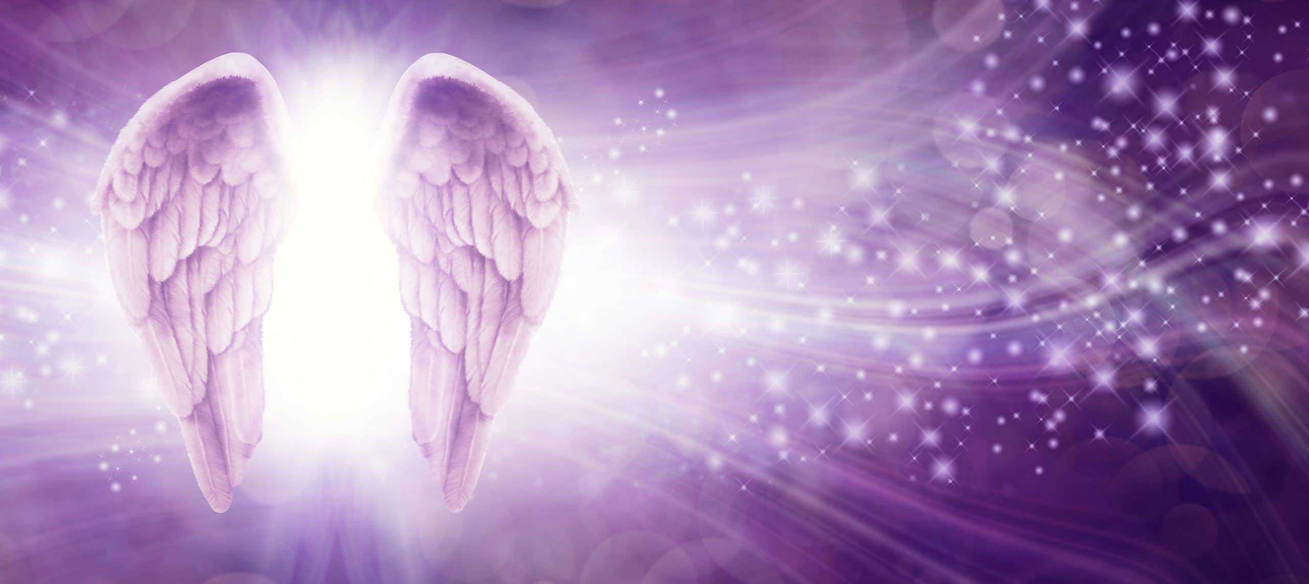 bigstock Purple Sparkle Angel Wings Mes 378621559 1 scaled