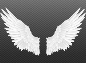 5 Things You Should Do Before Connecting With Your Angels