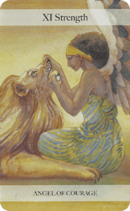 XI Strengths Angle of Courage