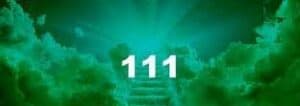 -111-