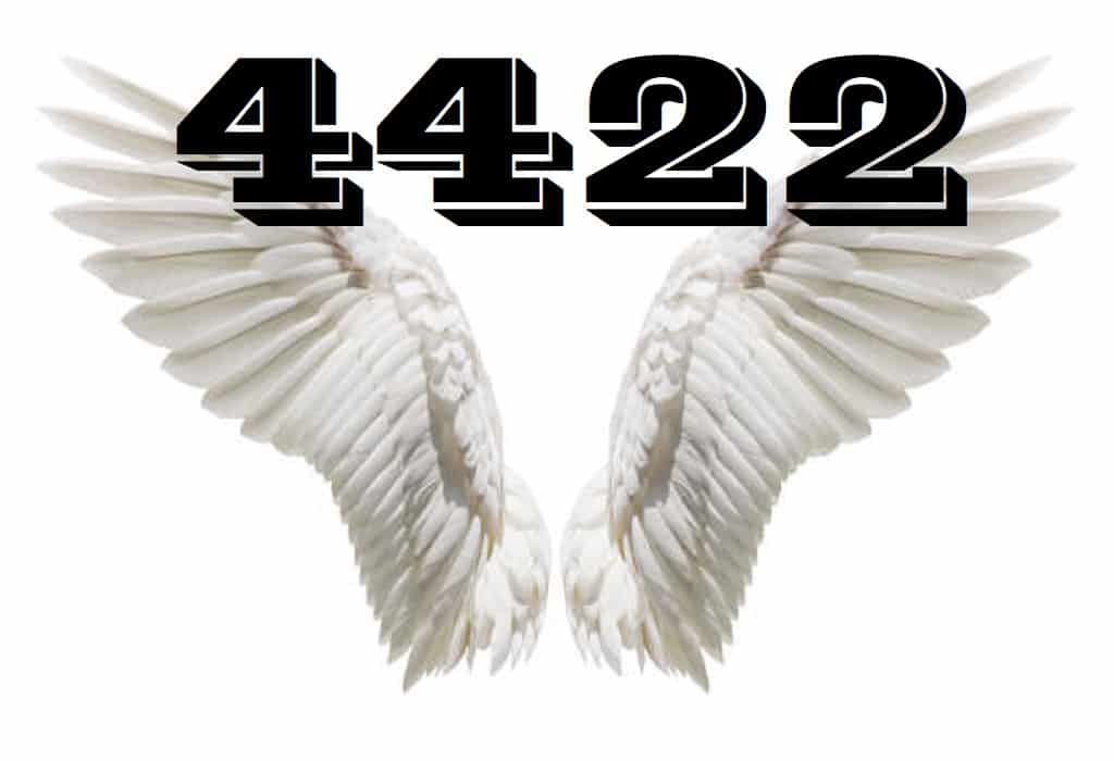 angel-number-4422-angel-oasis