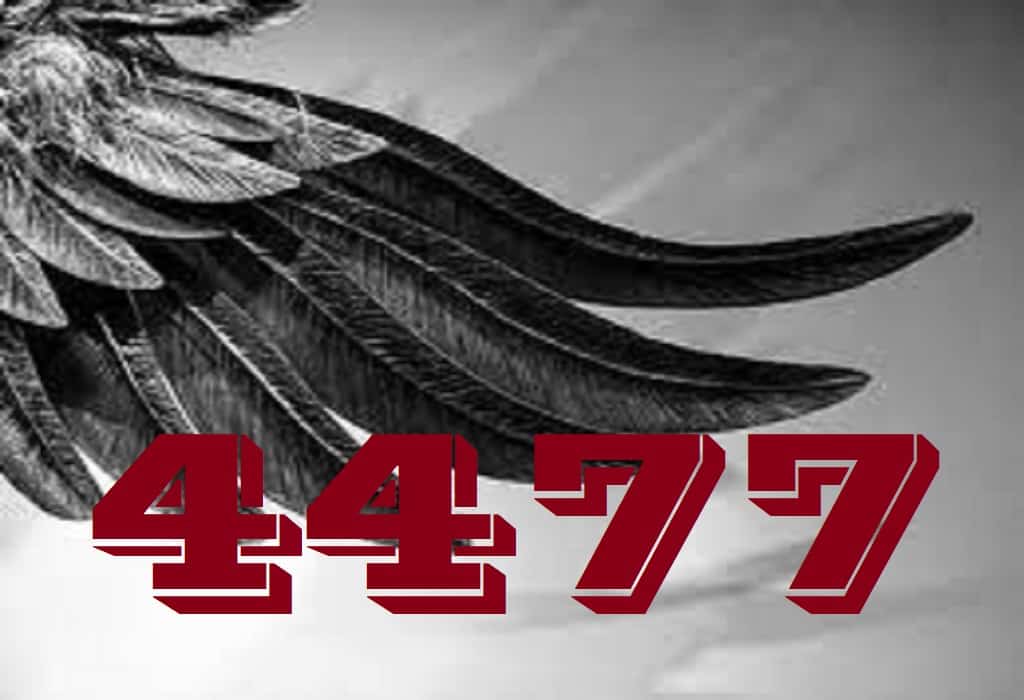 angel-number-4477-angel-oasis