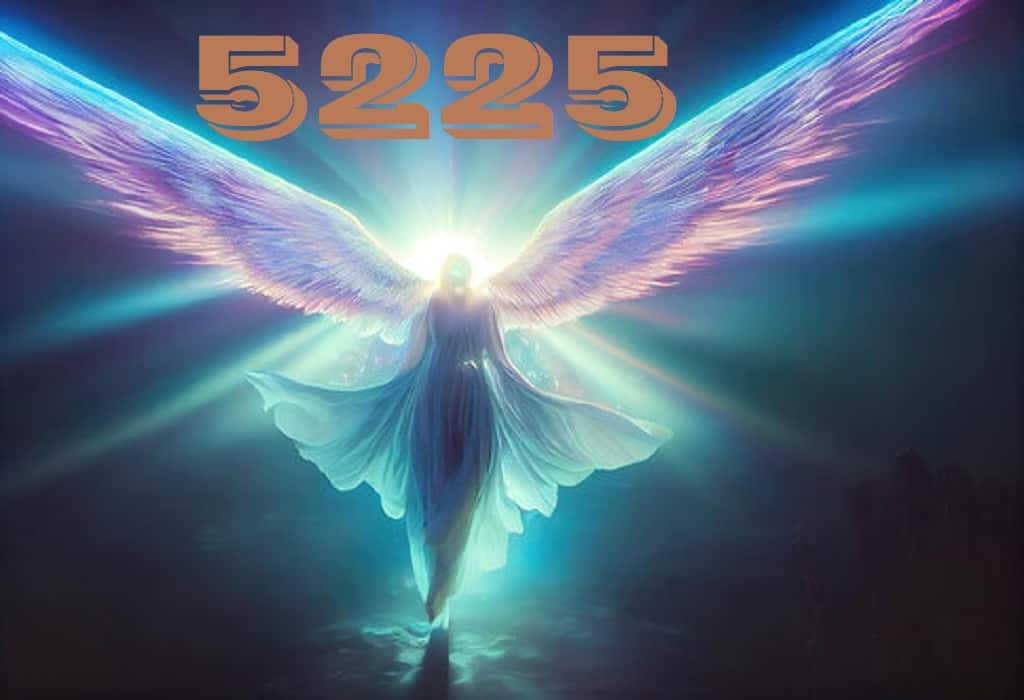25 of 5225