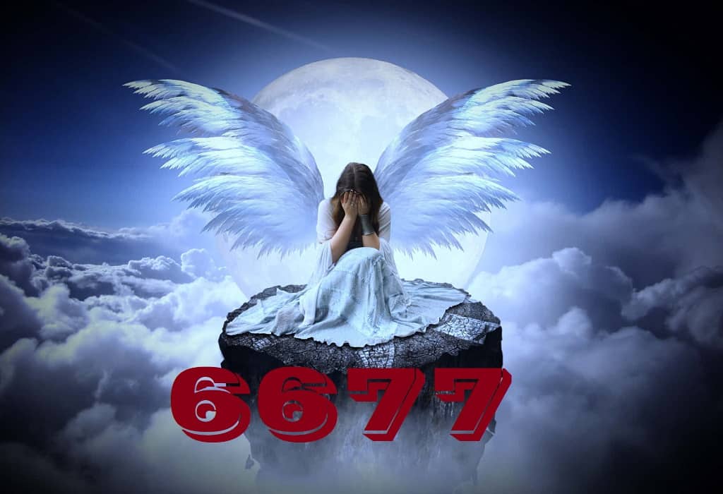 Angel Number -6677- Angel Oasis