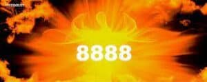 -8888-