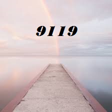 -9119-