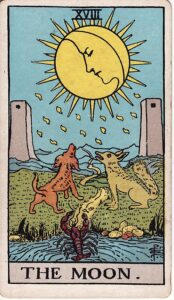 Tarot Card Meanings: All 78 Cards 19 The Moon tarot card